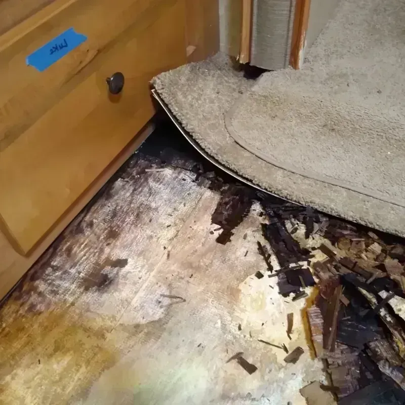 Wood Floor Water Damage in Manning, SC